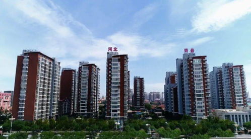 青縣樓盤市場(chǎng)傳遞出重磅信號(hào) 樓盤策劃代理角色升級(jí)與市場(chǎng)變革