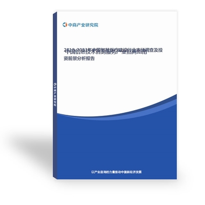 現(xiàn)代社會中的電子信息報(bào)告與信息技術(shù)咨詢服務(wù) 價(jià)值、挑戰(zhàn)與前景