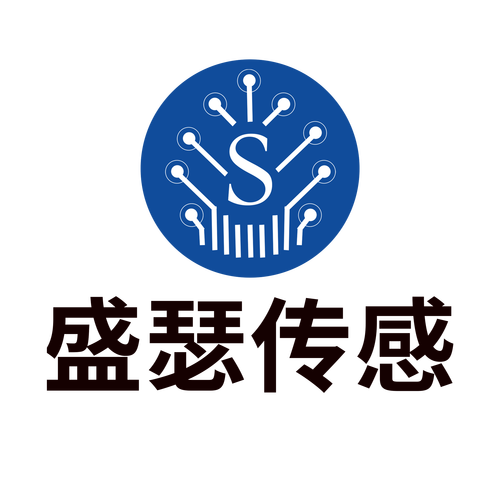成都盛瑟傳感技術 引領信息技術咨詢服務新浪潮